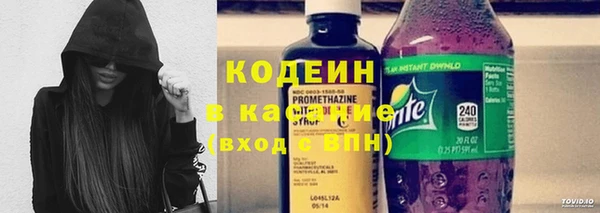дурь Покачи