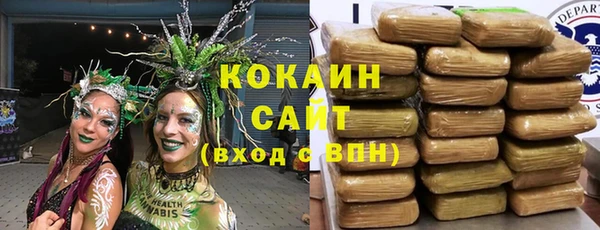 дурь Покачи