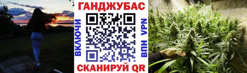 сколько стоит  Аркадак  Канабис планчик 